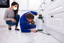 Best Indoor Pest Control  in Holly, MI